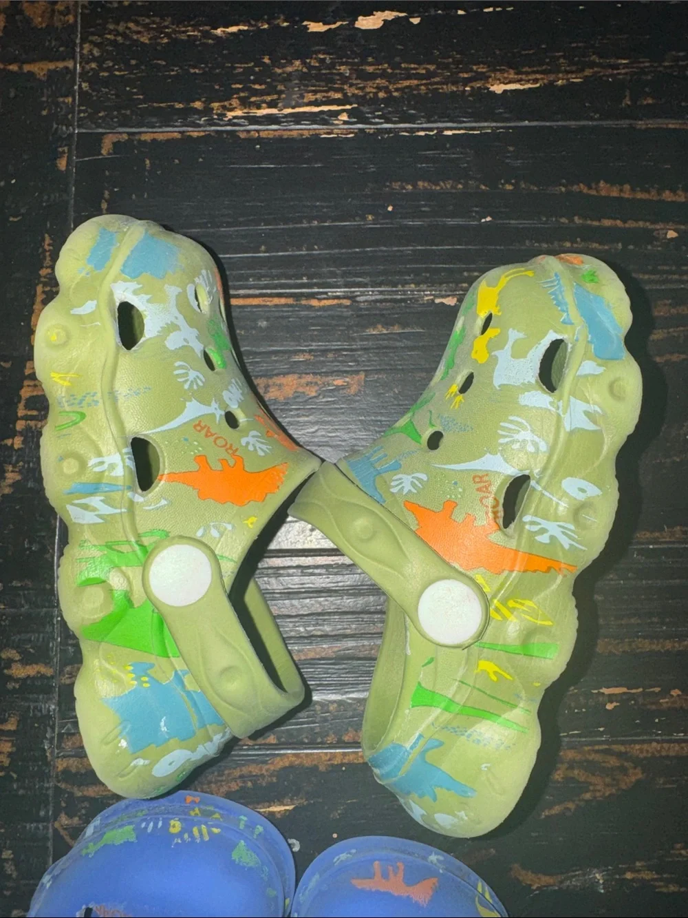 Kids' Dinosaur Clog Shoes - Green and Blue